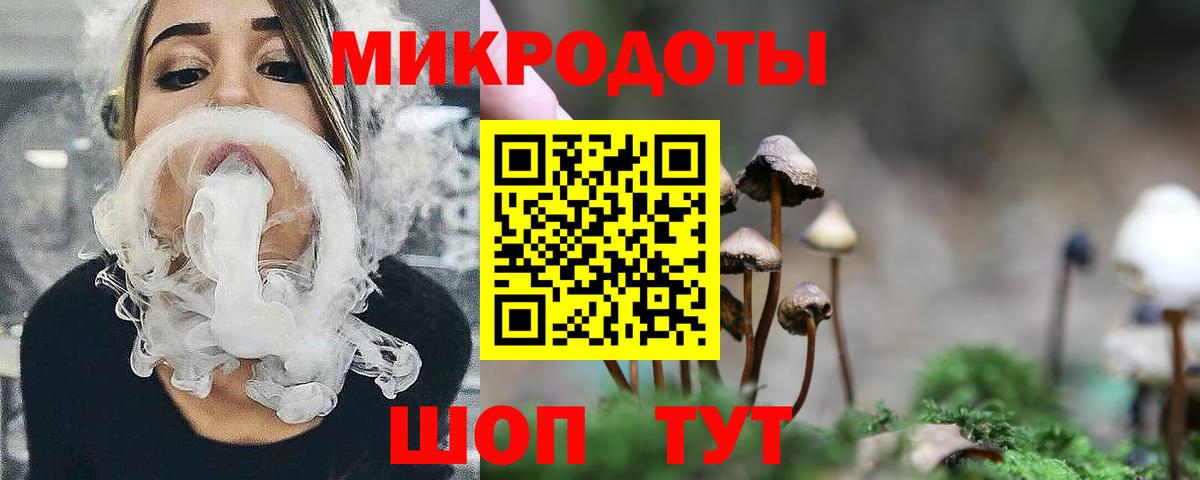 Гай  Псилоцибиновые грибы ЛСД  Вход с VPN 